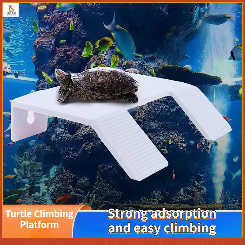 Turtle sunbathing platform Turtle climbing platform Water turtle ...