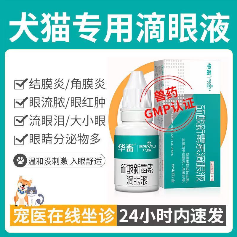 Dogs cats eye drops tear stains eye boogers eye inflammation pus and