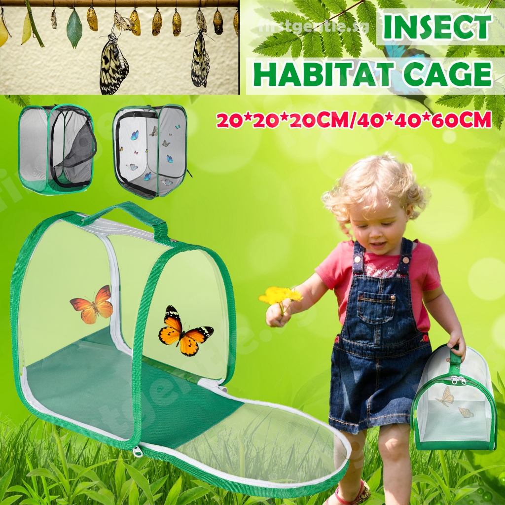 Small Insect and Butterfly Habitat Seedling Cage Net Transparent Insect ...
