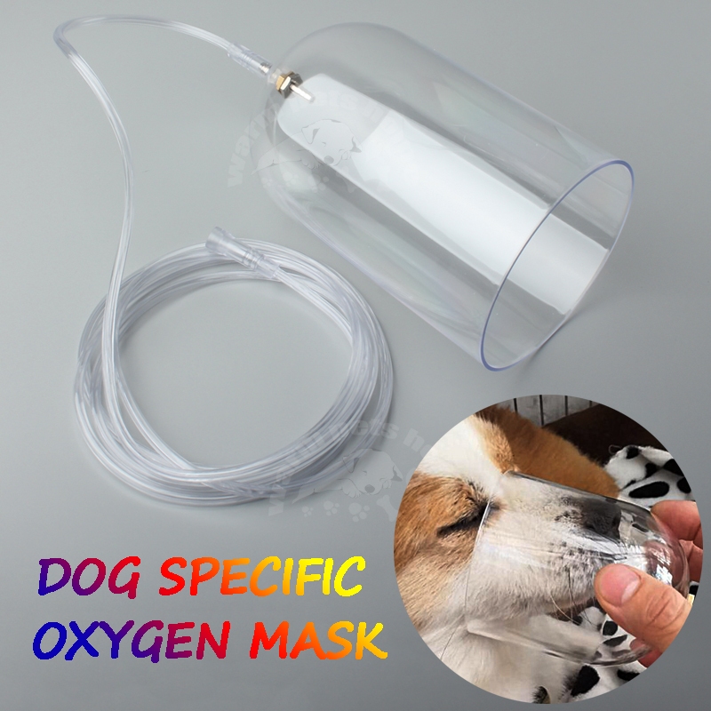 Pet Dog Oxygen Mask Kit, Oxygen Inhalation Atomizing Mask for Long ...