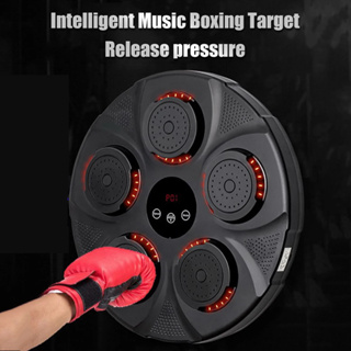 Electronic Wall Targets Sanda Trainer Martial Arts Music Boxing