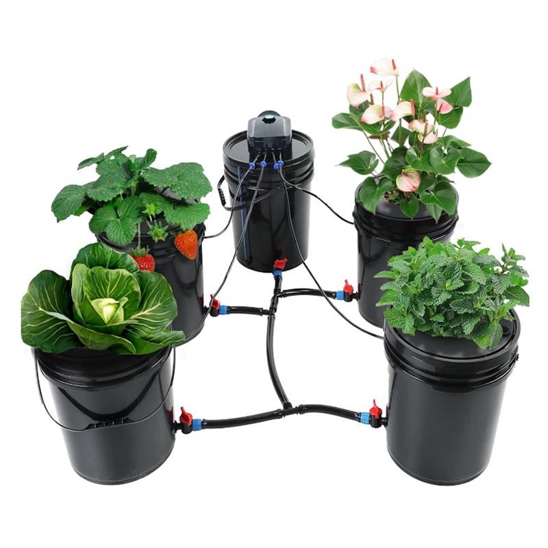 Litgrow DWC Hydroponic Growing System 5 Gallon/20L 4 Bucket DWC Kit ...