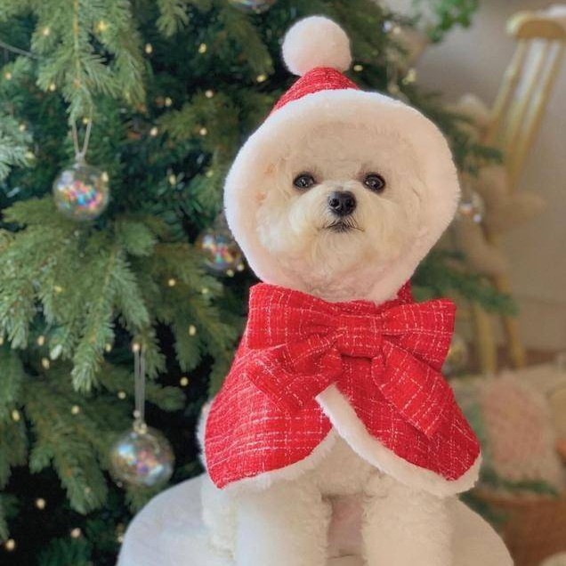 Christmas suits hot sale for dogs