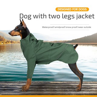 Medium size clearance dog raincoat