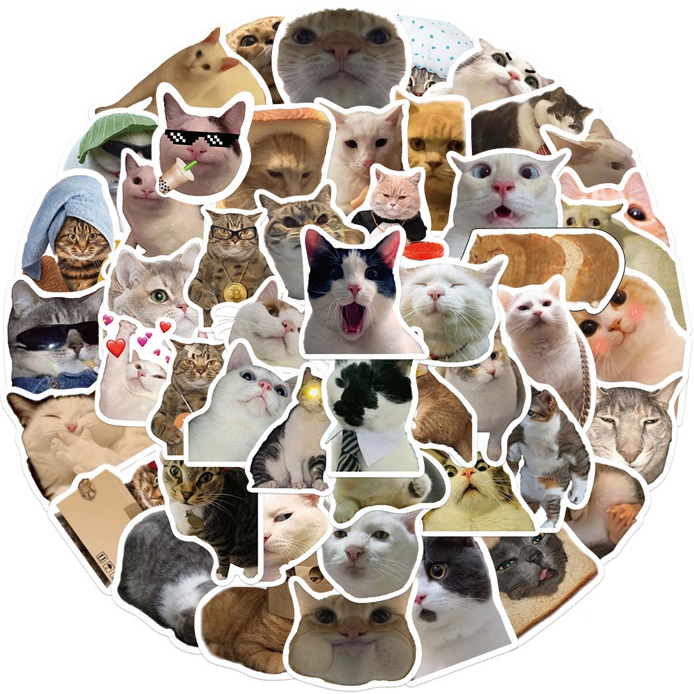 50PCS Cat MEME Funny Animals Stickers Vintage Toy DIY Kids Notebook ...