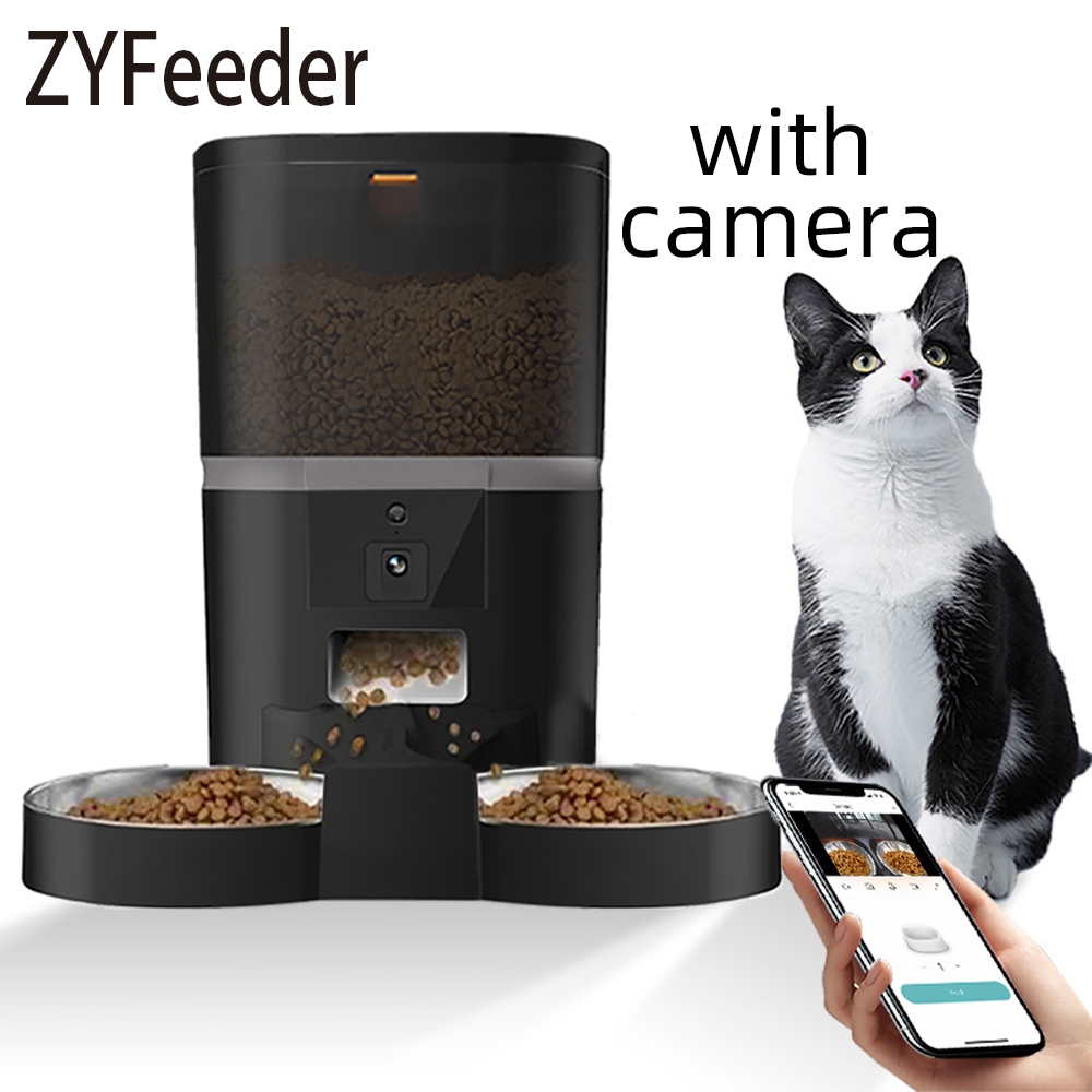 Feeding Cat Dog Food For Kittens