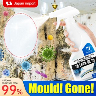 Wall deals mold remover