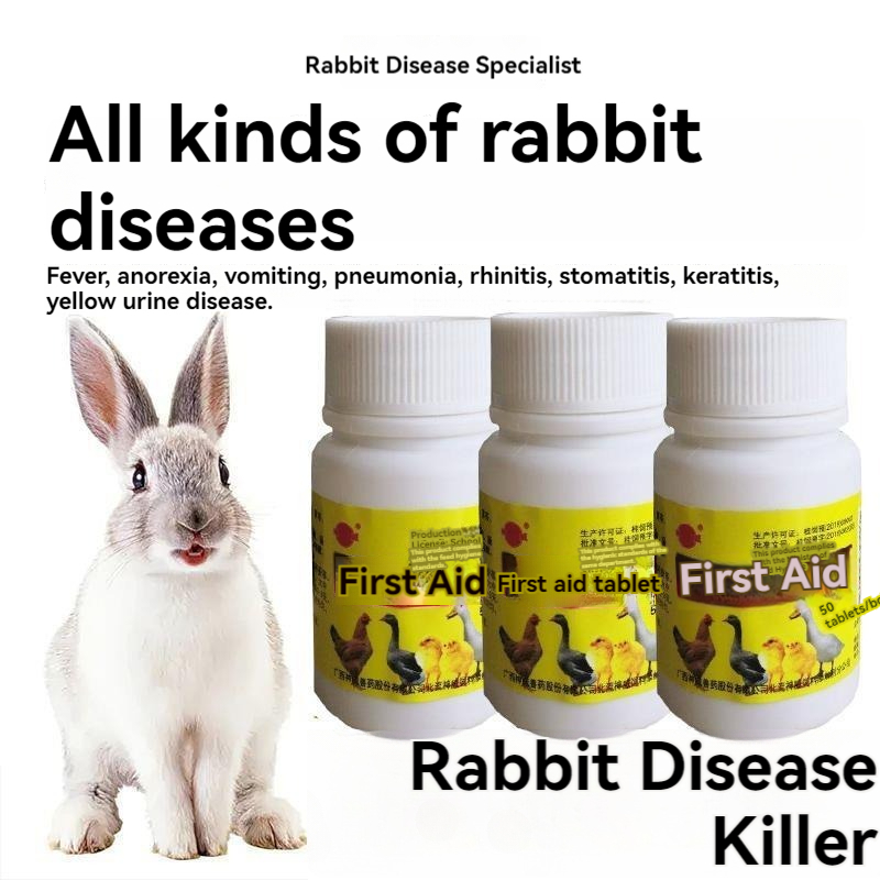 Pet Rabbit Standing Medicine Rabbit Disease Prevent Cold Fever Fever