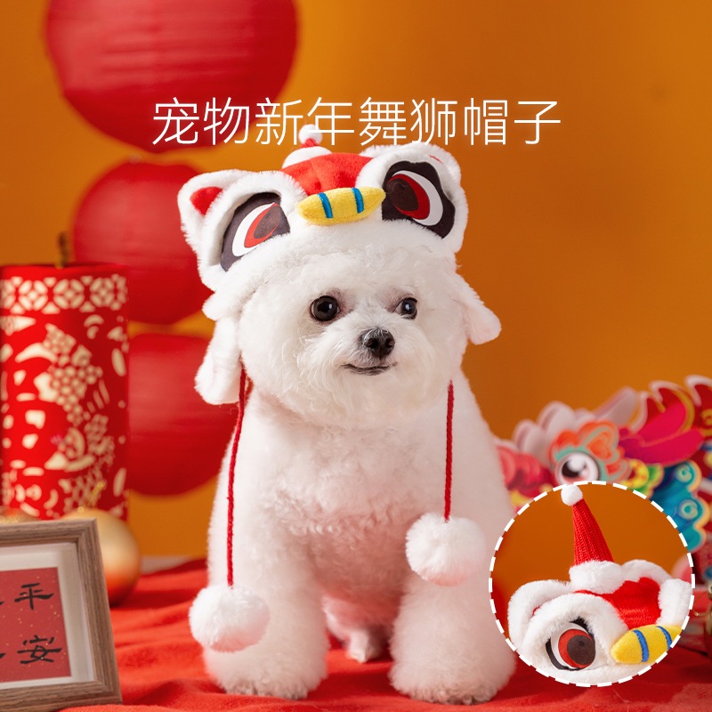 Jinju best sale bichon frise