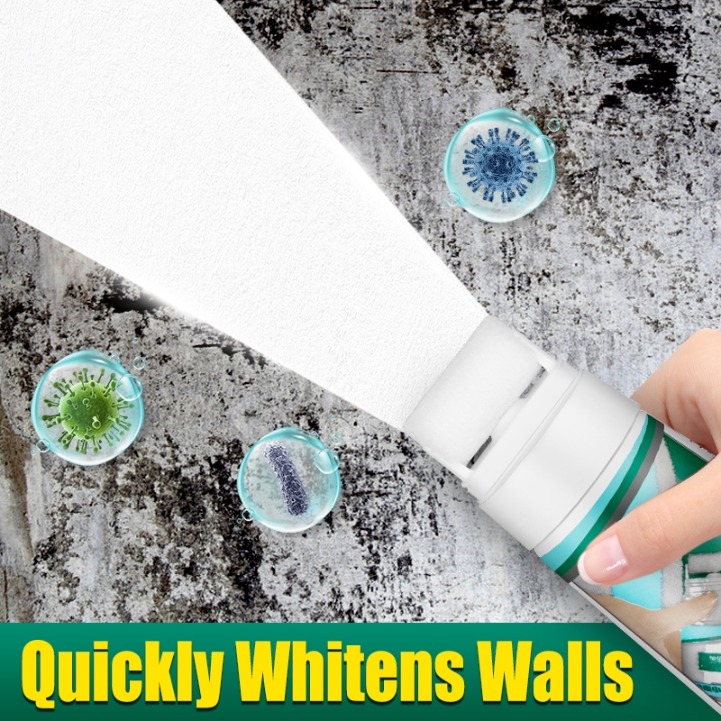 Paint Wall Touch Up Paint with Roller Brush (White) Mold Remover DIY