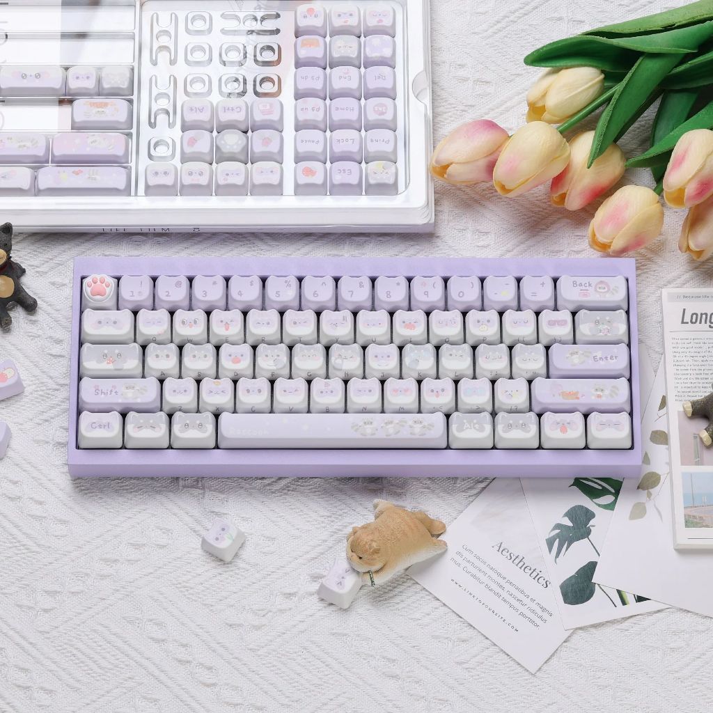 Raccoon Sauadron MAO Profile Keycaps Set | Shopee Singapore