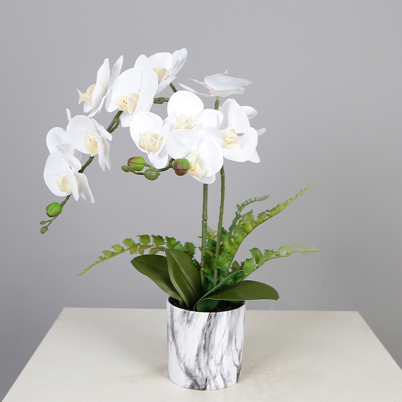 50cm Artificial Orchid Flower Plant Real Touch Faux Orchids in Vase ...