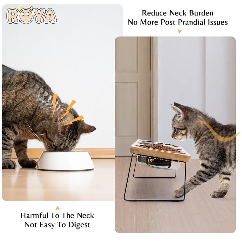 ROYA Cat Bowls for Food and Water Stainless Steel Dog Bowl with wooden Stand Shopee Singapore