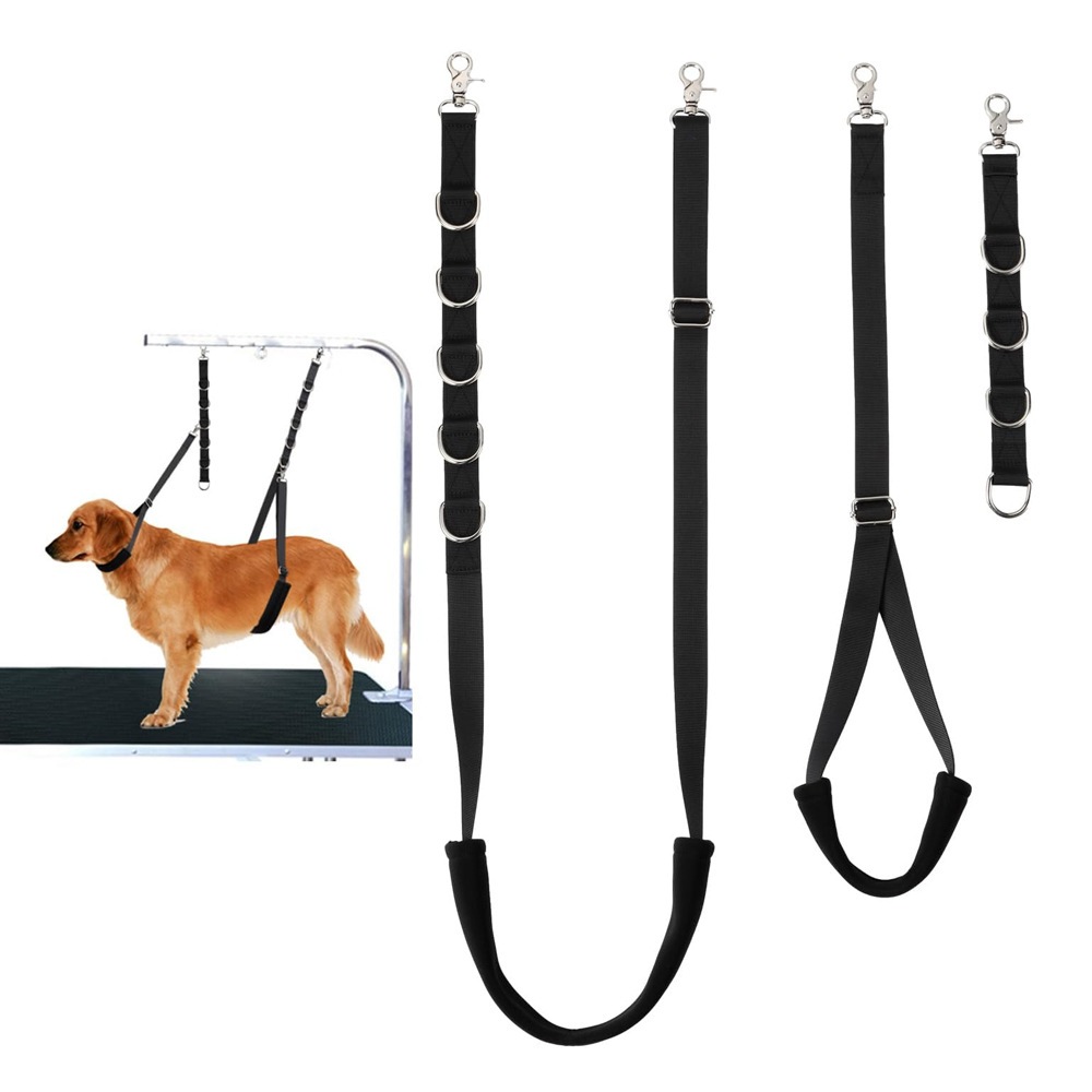 Grooming leash for dogs best sale