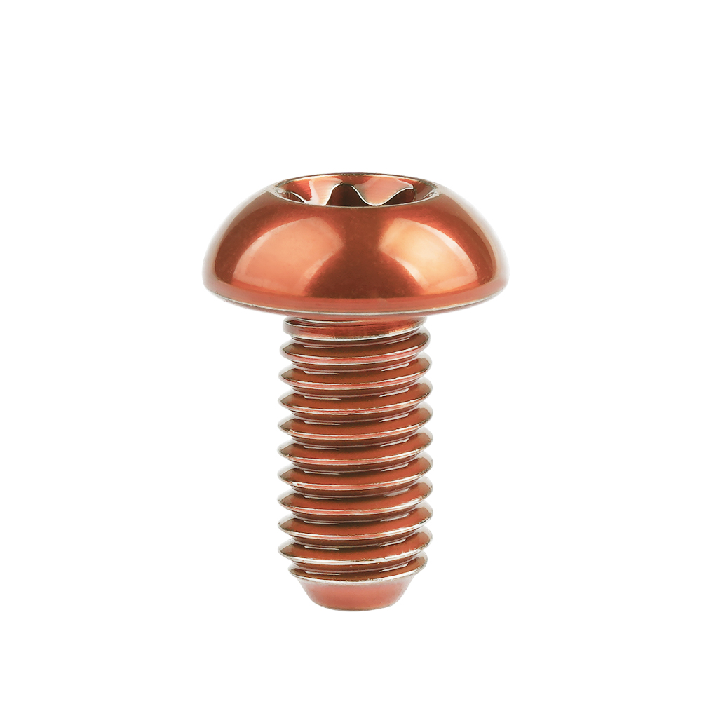 Wanyifa Titanium Bolt M5x10 12mm T25 Torx Head Screw for Bike Disc ...