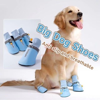 Big dog shoes hotsell