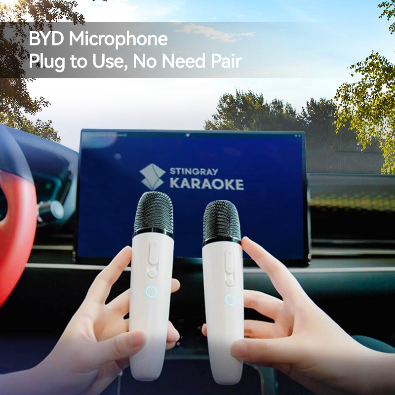 BYD Official factory Store BYD Microphone BYD karaoke Carpool Karaoke