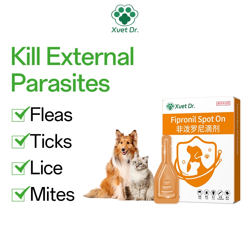 How to Get Rid of Fleas on Cats Without Bathing: Expert Tips - Cat Flea Removal Without Using Insecticidal Soap