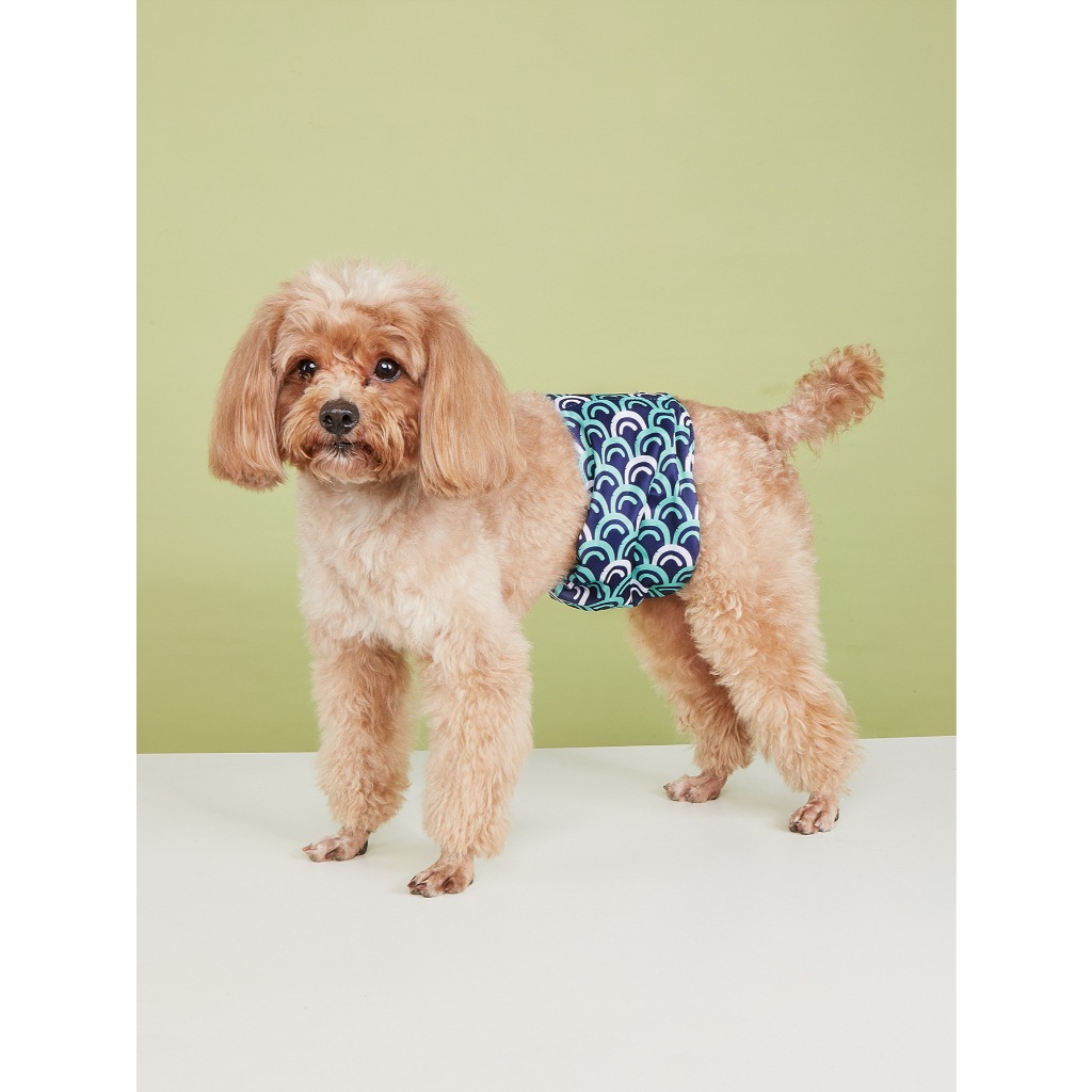 Dono Male dog pants polite anti harassment products washable diapers pet products reusable cloth pants Shopee Singapore