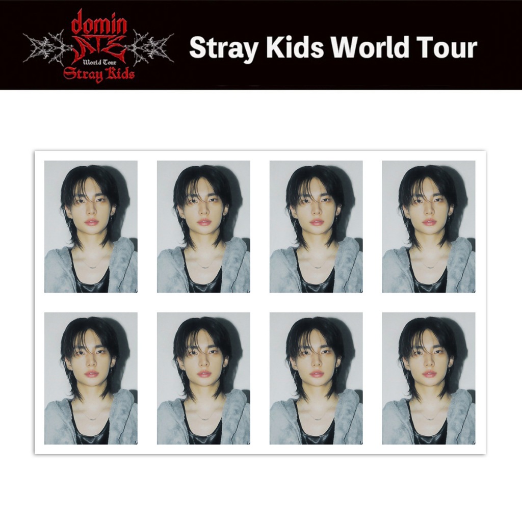STRAY KIDS STAY FANCLUB KIT one-inch ID photo 3RD GENERATION