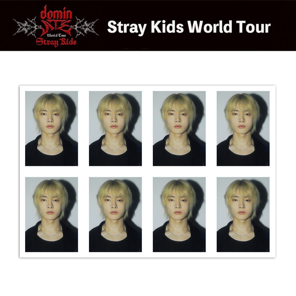 STRAY KIDS STAY FANCLUB KIT one-inch ID photo 3RD GENERATION