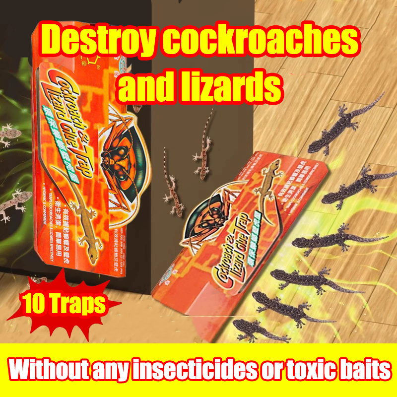 【𝗦𝗚 𝗦𝗧𝗢𝗖𝗞】10pcs Lizard & Cockroach Glue Trap Sticker Cockroach Glue ...
