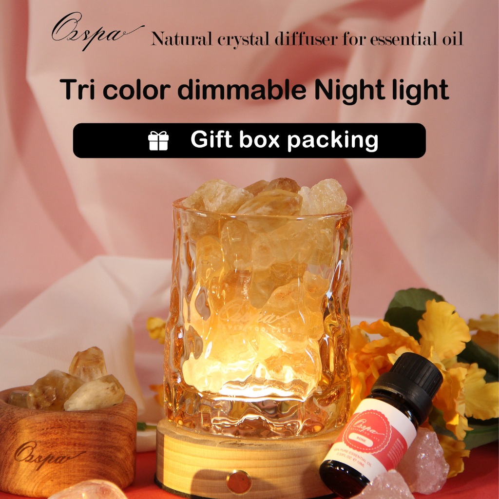 OZSPA essential oil diffuser USB Lamp Night light Home Fragrance ...