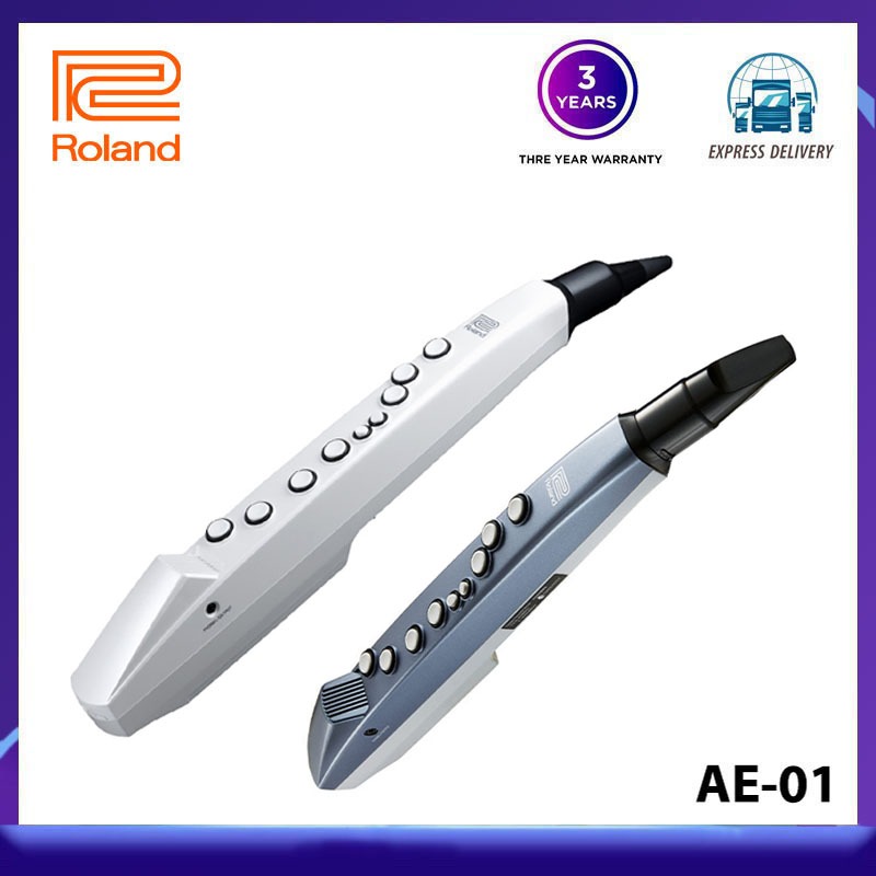 Roland ローランド デジタルサックス Aerophone mini エアロ
