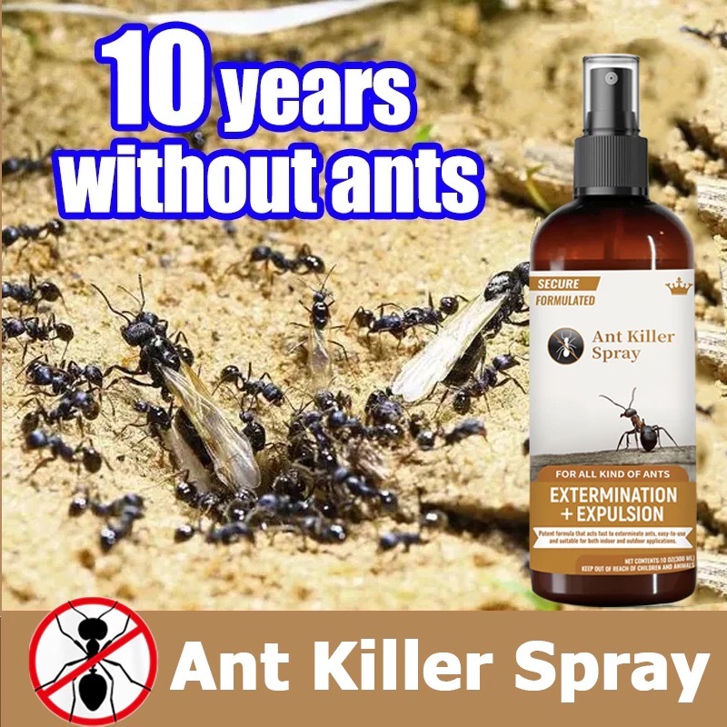 【SG Stock】Ants Repellent Ant Repellant Anti Ant Spray Termite Spray螞蟻药 ...