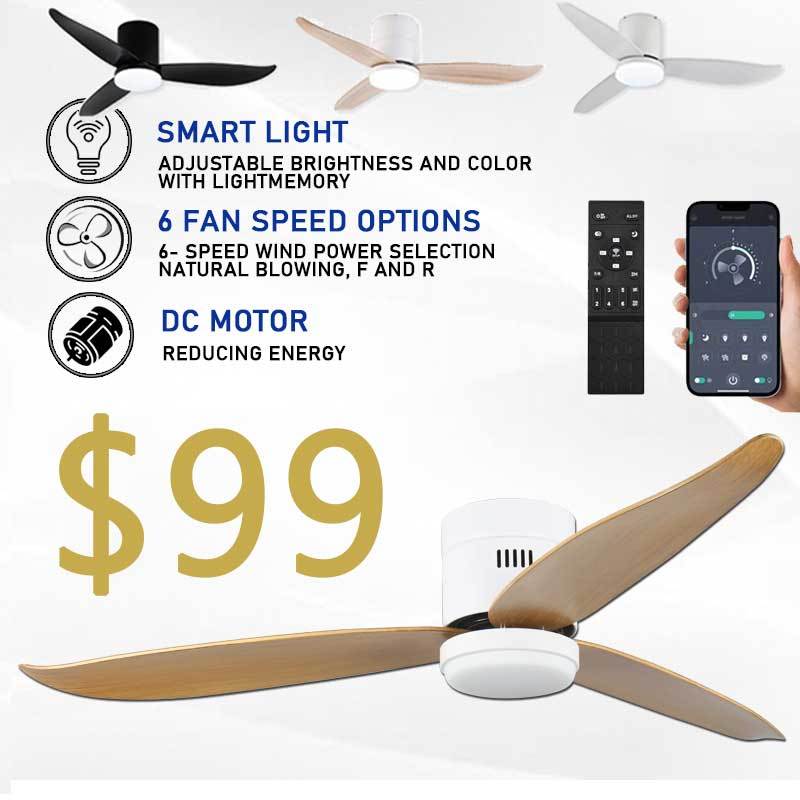 Smart Remote Control Ceiling Fan Light 3 Tone LED Lights/Remote Control ...