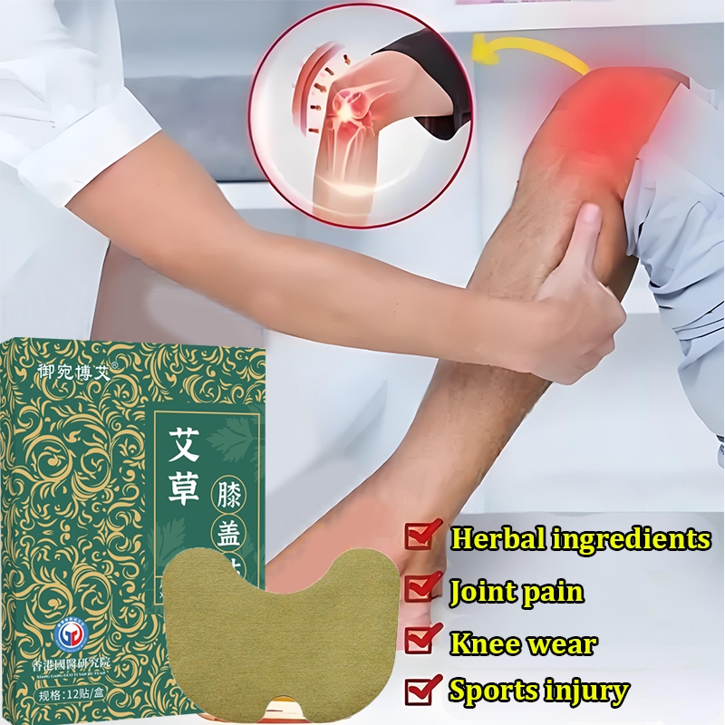 【2 Day Delivery】Wormwood Knee Pain Relief Patch 12pcs Knee arthritis ...