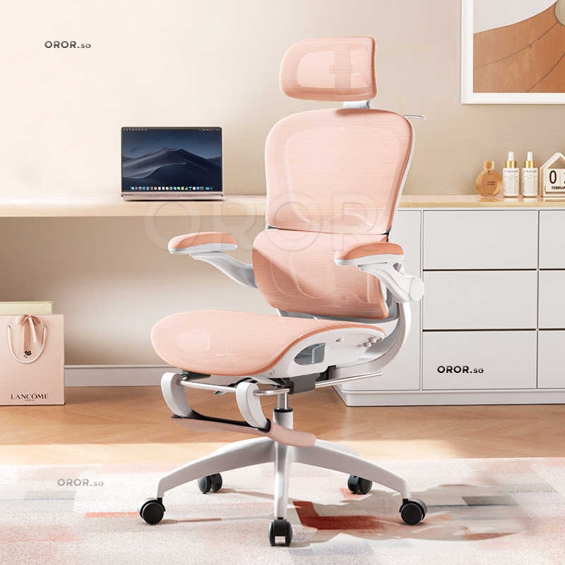 OROR Ergonomic Chair Home Computer Chair Sedentary Office Chair Goddess ...