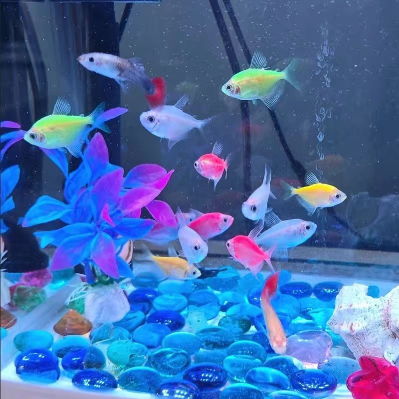 Fishbowl landscaping stone aquarium landscaping blue cashew nut glass ...