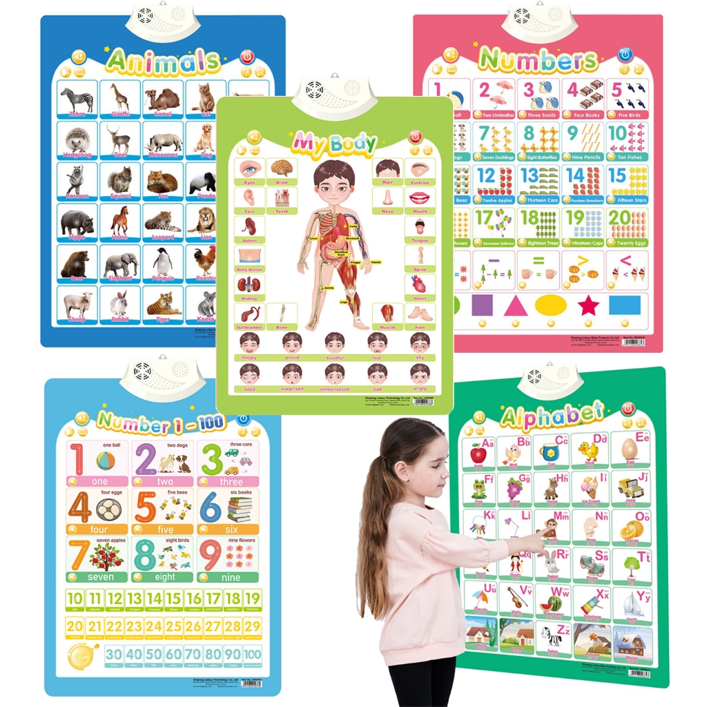 Wall sticker point reading sound teaching aids Talking Poster ...