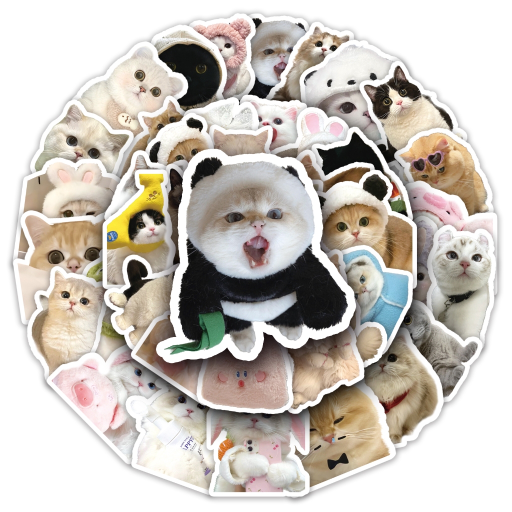 60pcs DIY meme Cute Cats Stickers Waterproof Sticker | Shopee Singapore