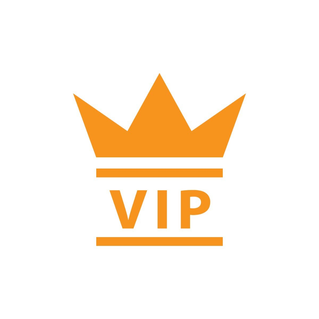 Store VIP enjoys priority delivery and after-sales rights (no physical ...