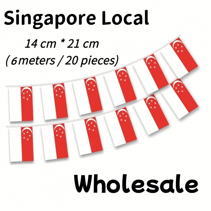 🇸🇬14*21cm Singapore Flag string Flag square flag 6M hanging flag NDP ...