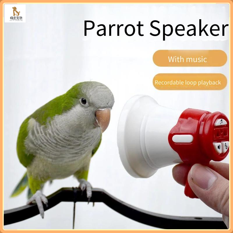 Parrot Learning Speaker/Training Repeating Recorder/Parrot Phoenix ...