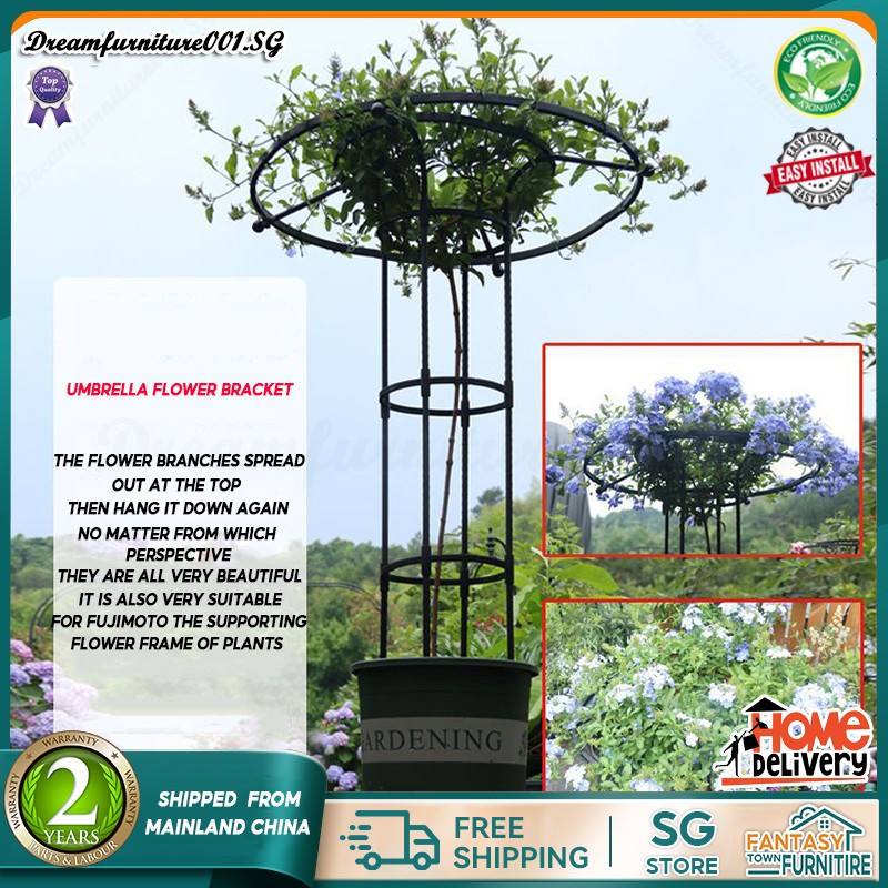 FTF Horticultural Umbrella Rose Climbing Vine Frame Rose Iron Wire ...