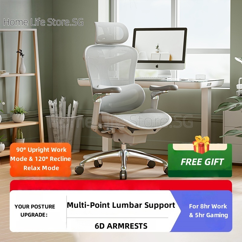 Ergonomic Gaming Chair SGS Home Office Chair with wheels Lumbar Support ...