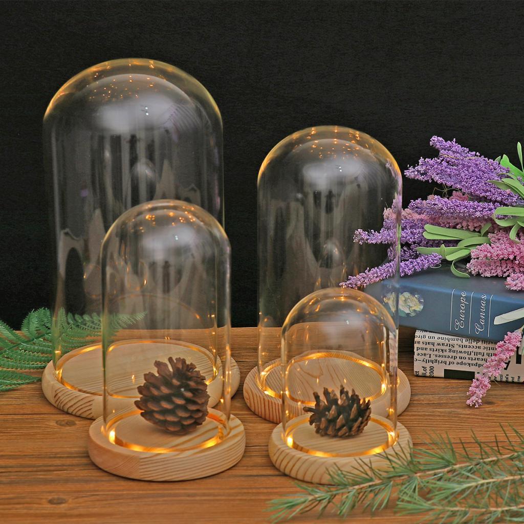 Decorative Clear Cloche Glass Display Dome With LED Wooden Base ...