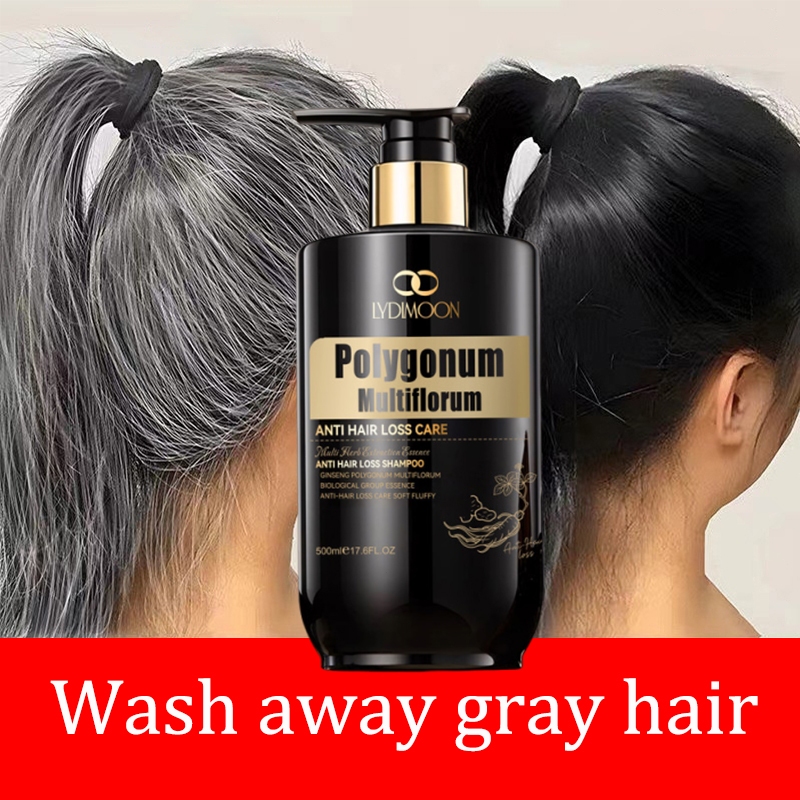 LYDIMOON Polygonum multiflorum black hair shampoo 500g Natural herbal ...