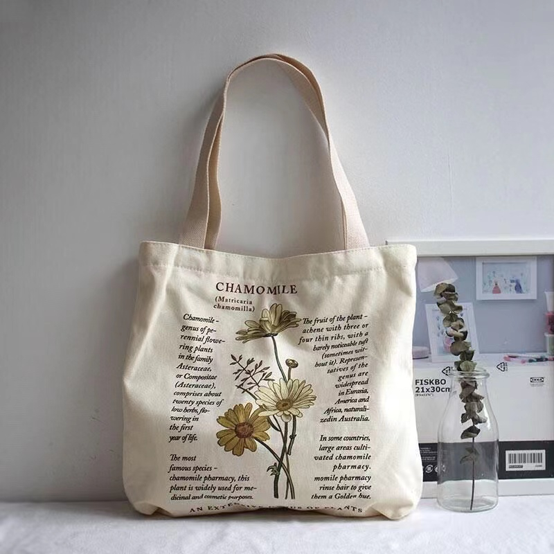 Aesthetic canvas tote on sale bag