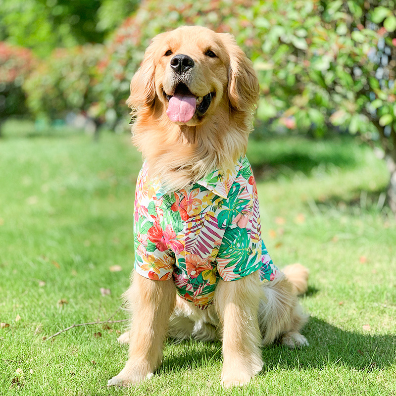 Golden retriever apparel hotsell