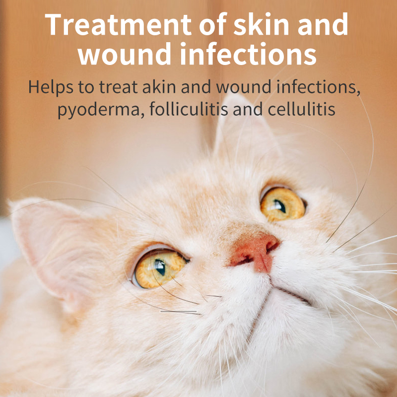 Curated visual reference: Fresh Look at Puainta Pets Anti Inflammatory Tablet For Dogs And Cats Urinary
