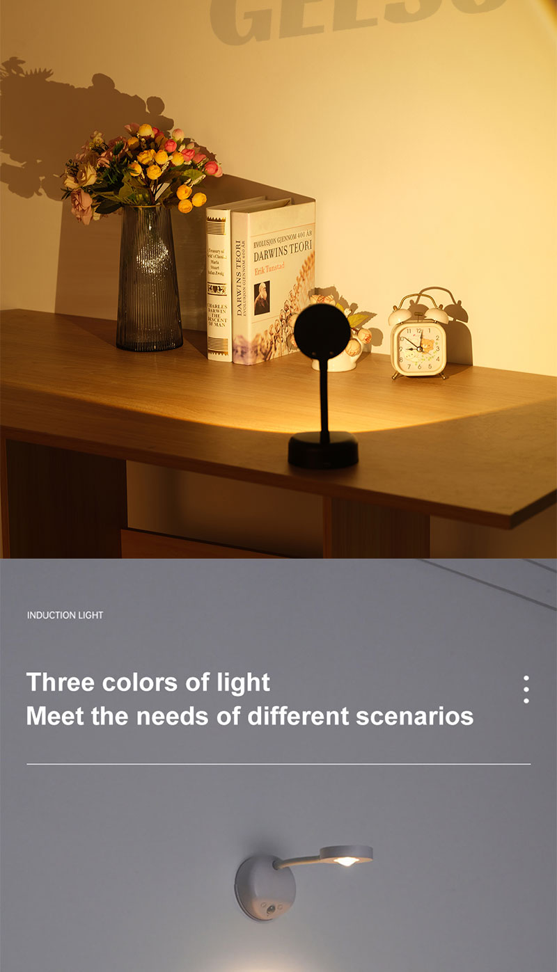 GEESO LED Motion Sensor Wall Light With Remote Control Spotlight ...