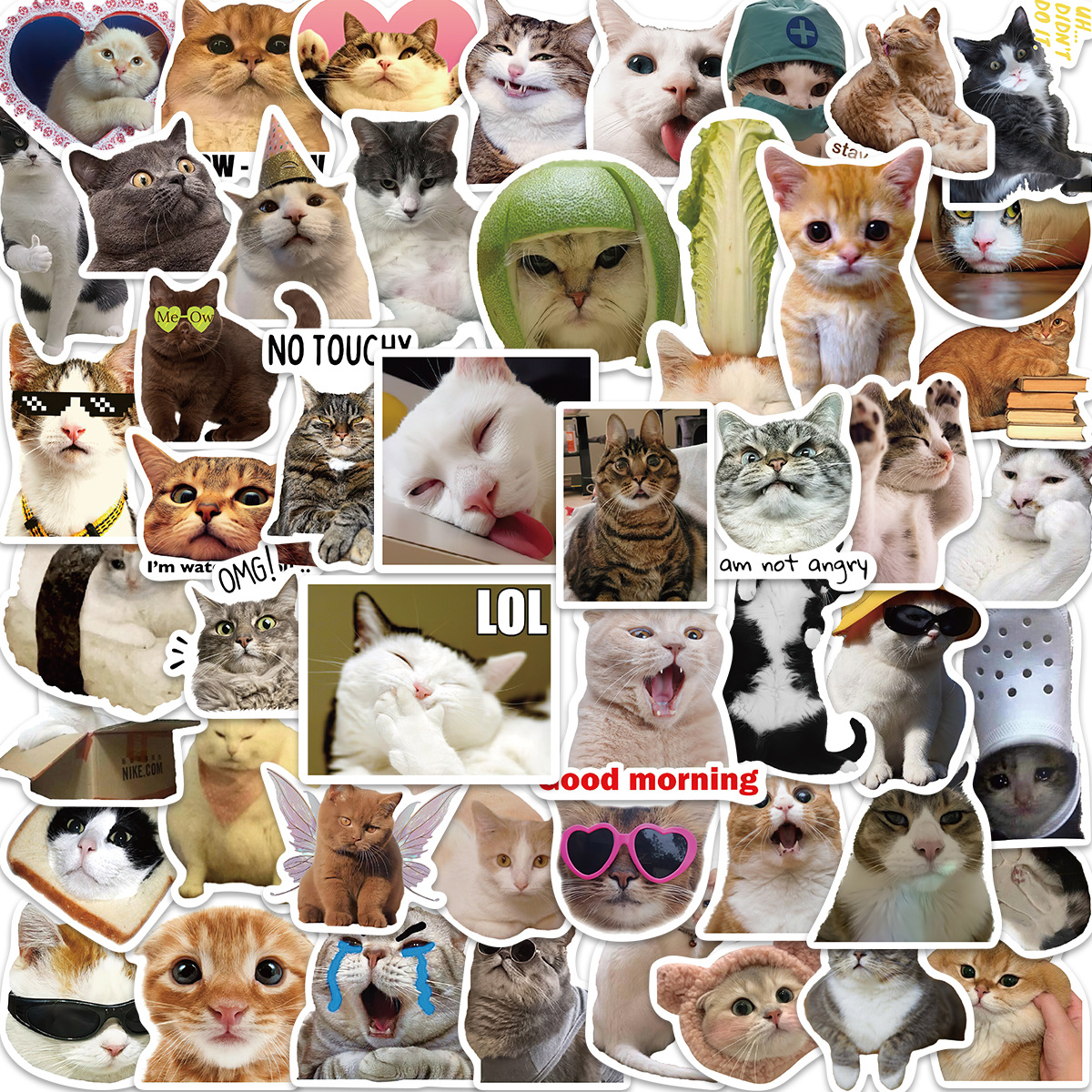 50PCS Cat MEME Funny Animals Stickers Vintage Toy DIY Kids Notebook ...