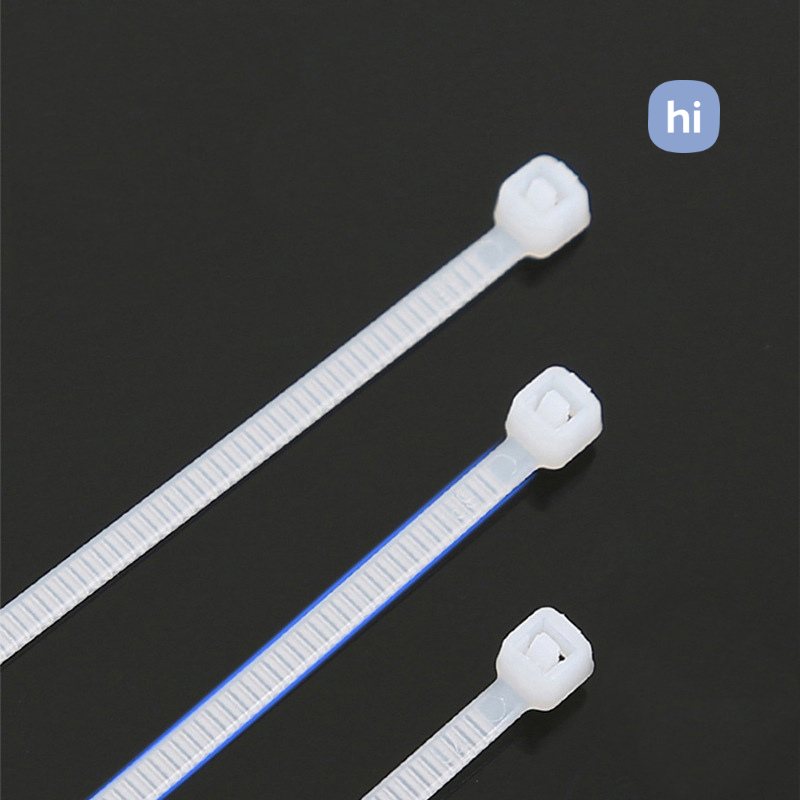 HI HOMES Nylon Cable Tie Buckle Strong Cable Tie Rope Wire Tie Fixing ...