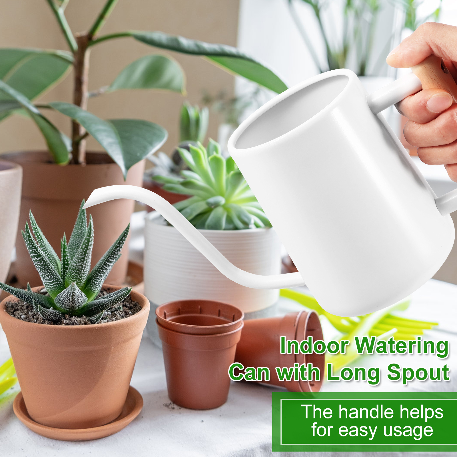 Mini Watering Can for Indoor Plants 300ml Stainless Steel Watering Pot ...