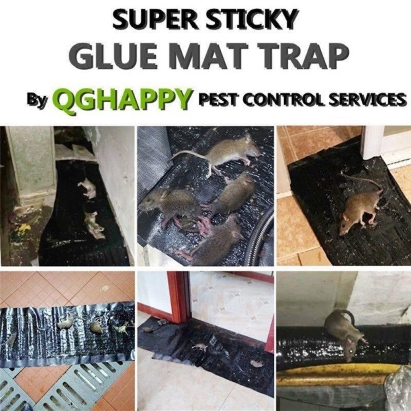 Super Large Mouse Sticky Catcher Rat Glue Trap Non-toxic Mice Catch ...